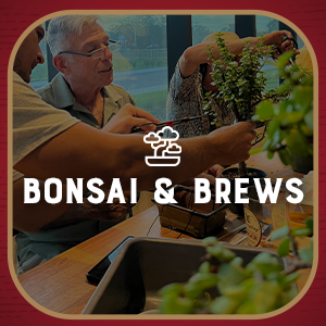 BONSAI & BREWS